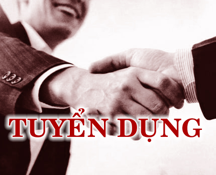 Công ty chúng tôi cần tuyển các  vị trí 