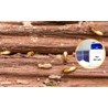 Bột Diệt Mối Mọt Tận Gốc