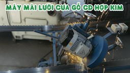 Máy Mài Lưỡi Cưa Gỗ CD Hợp Kim
