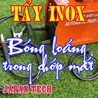Cọ Tẩy Máy Điện Hóa Mối Hàn Inox Nhật