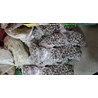 Mũi tạc tượng đá hình tròn
