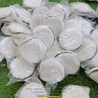 Phớt Lông Cừu Đánh Bóng Kính 100mm