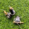 Van Khí Máy Hàn Tig TIG250S Hàn Inox (DC24V có khóa ngược)