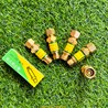 Thiết Bị Chống Cháy Ngược Oxy loại HF-2 màu Vàng Xanh